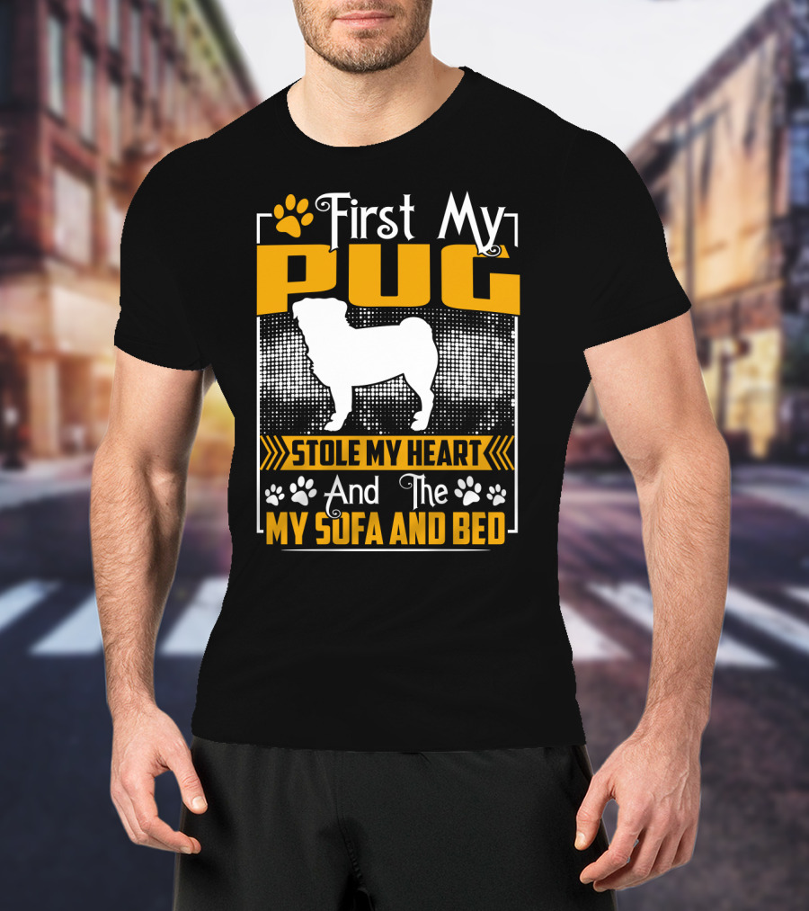 First My Pug Stole My Heart And Then My Sofa And Bed T-Shirt