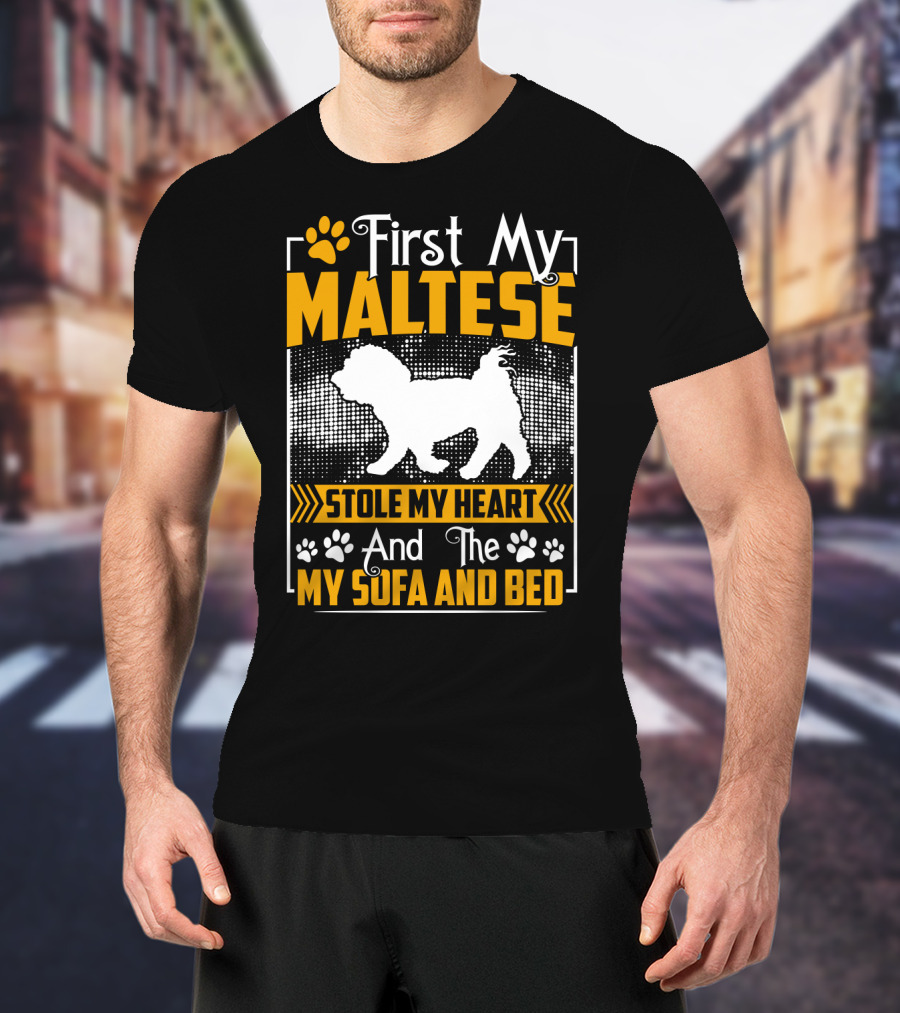 First My Maltese Stole My Heart And The My Sofa And Bed T-Shirt