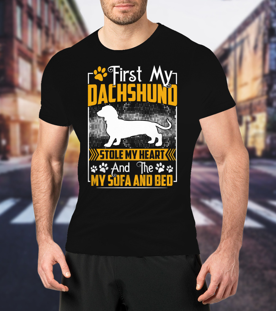 First My Dachshund Stole My Heart And Then My Sofa And Bed T-Shirt