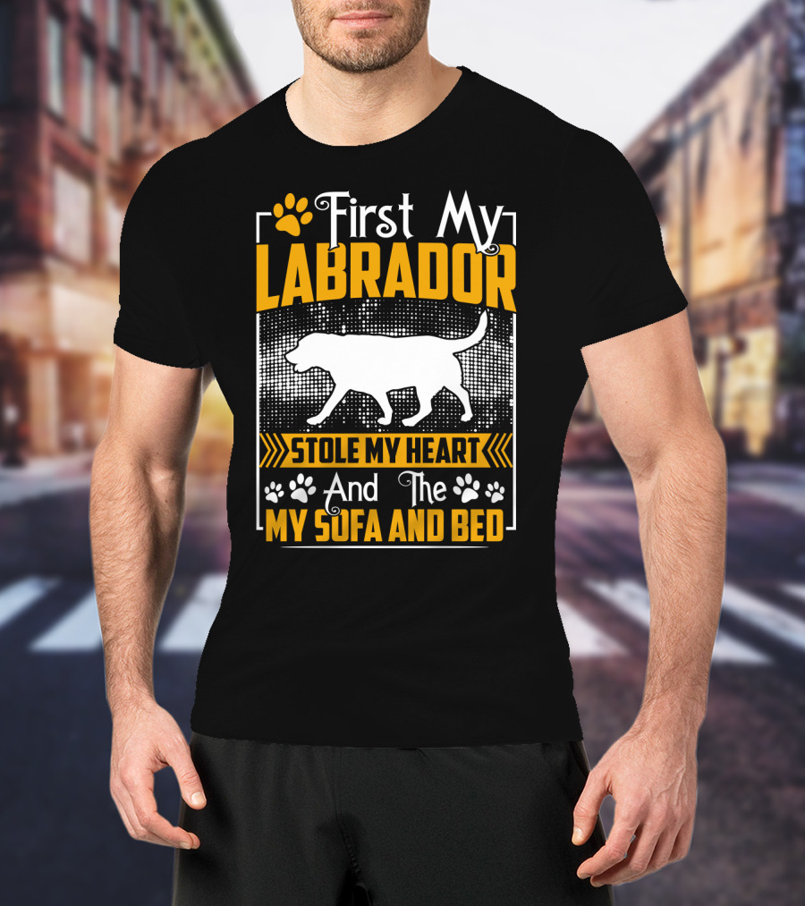 First My Labrador Stole My Heart And Then My Sofa And Bed T-Shirt