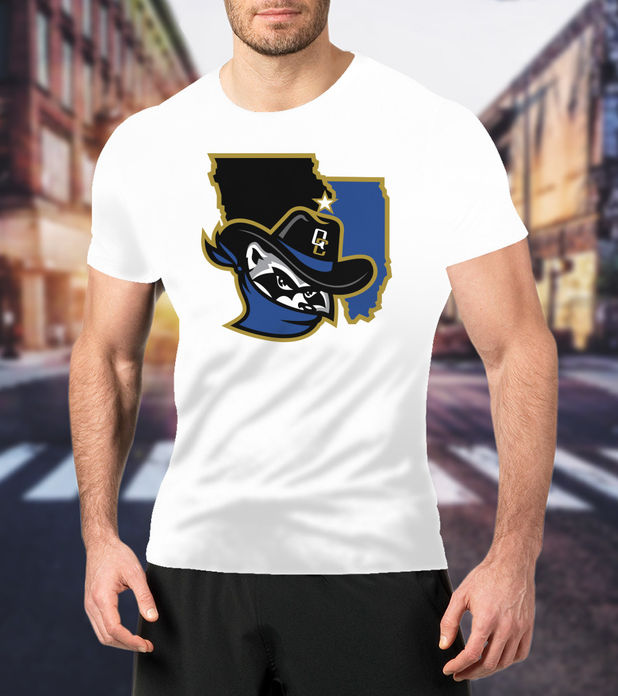 Quad Cities River Bandits Midwest League Baseball Logo 22 T-Shirt