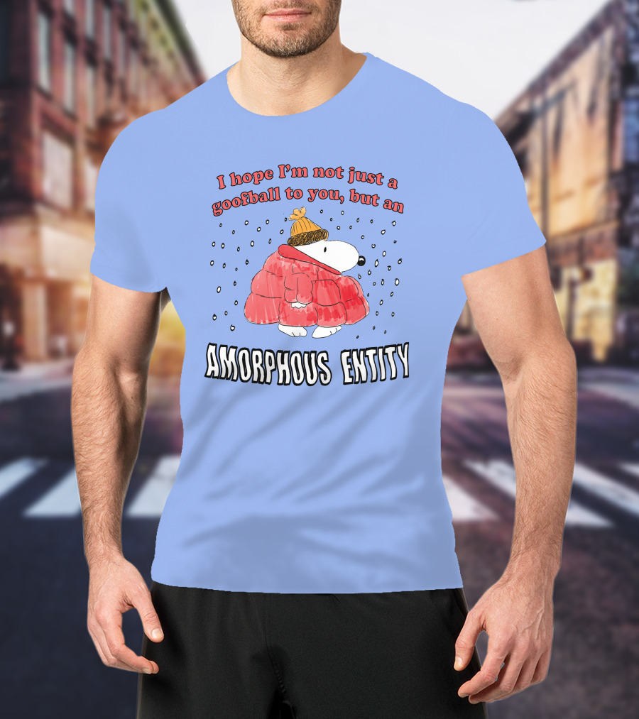 I Hope I'm Not Just A Goofball To You But An Amorphous Entity In Winter Wear T-Shirt