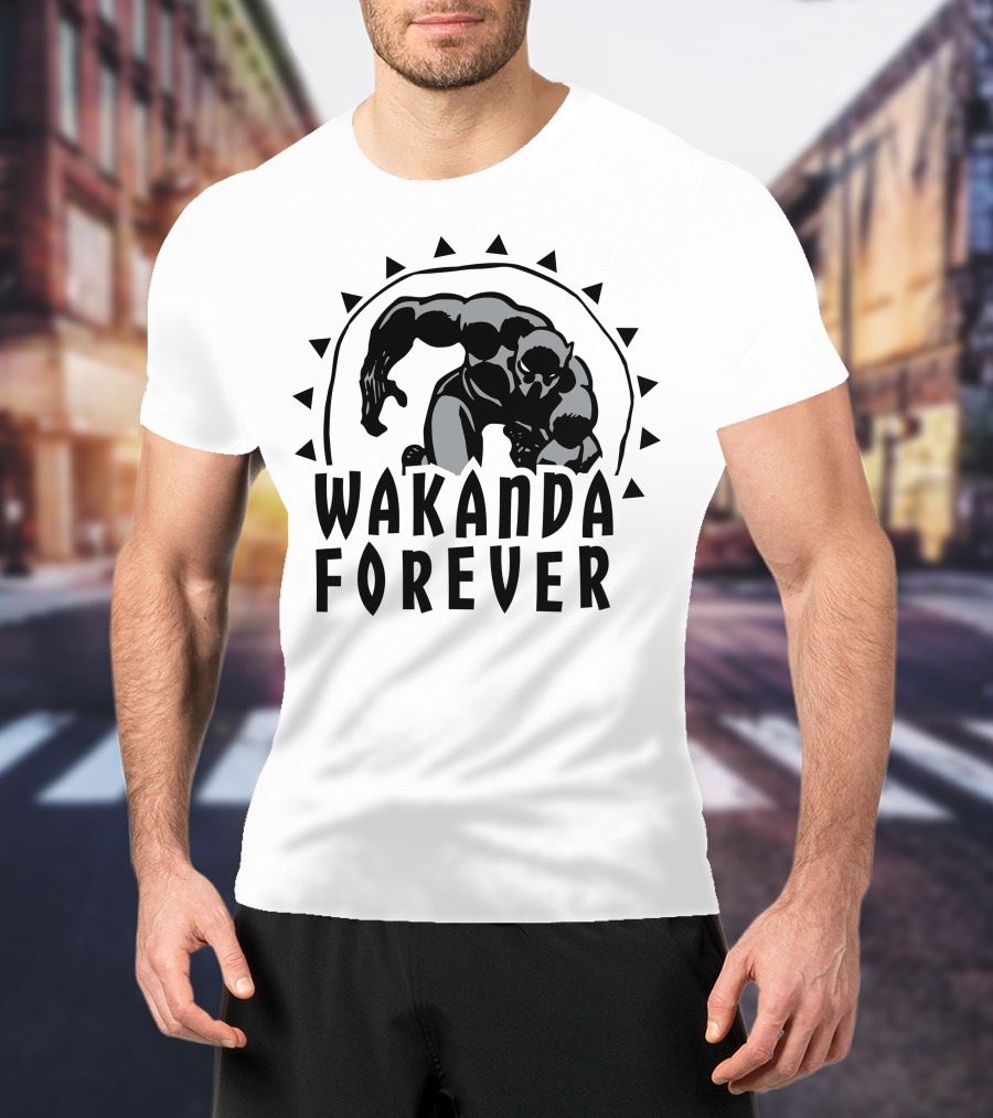 Marvel Black Panther Wakanda Forever Sun Triangles Hero Pose T-Shirt