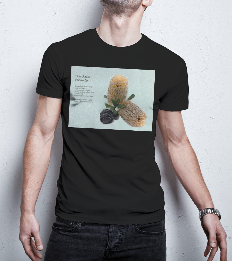 Banksia Ornata Rounded Shrubs Little Desert National Park Flowers T-Shirt