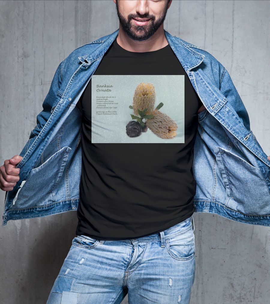 Banksia Ornata Rounded Shrubs Little Desert National Park Flowers T-Shirt