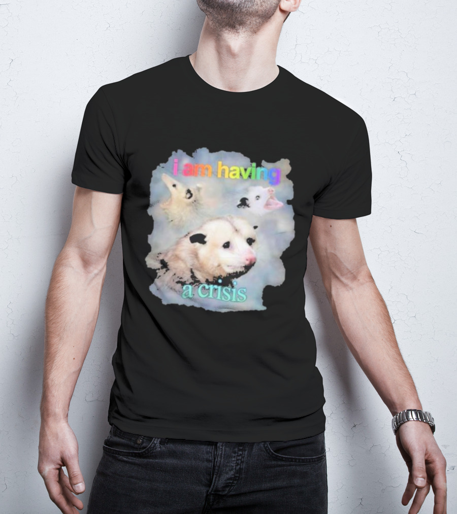 I Am Having A Crisis Possum T-Shirt