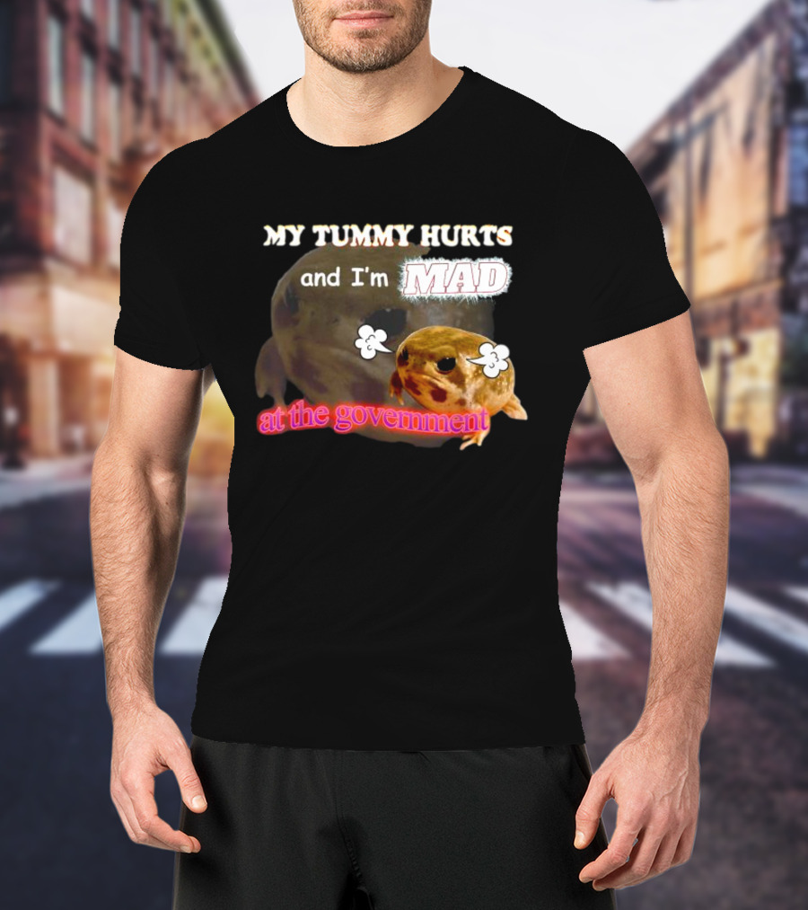 My Tummy Hurts And I'm MAD At The Government Frog Meme T-Shirt