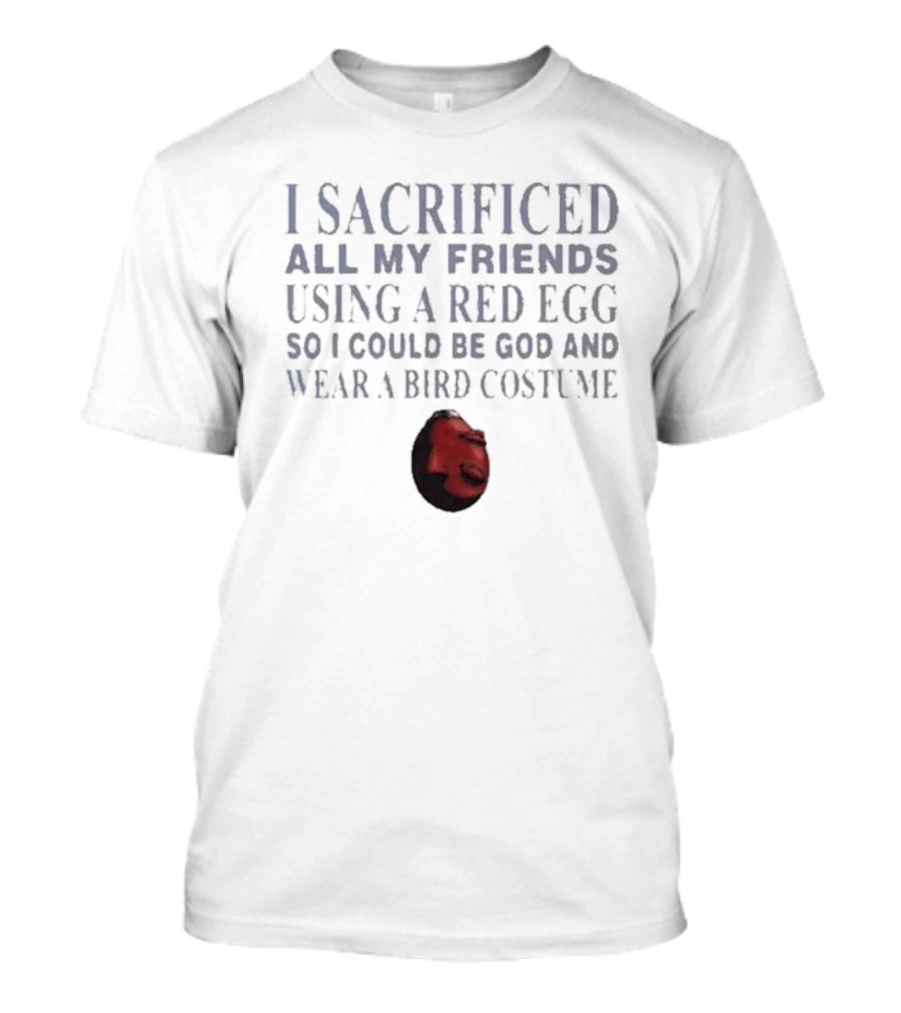 I Sacrificed All My Friends Using A Red Egg So I Could Be God And Wear A Bird Costume T-Shirt