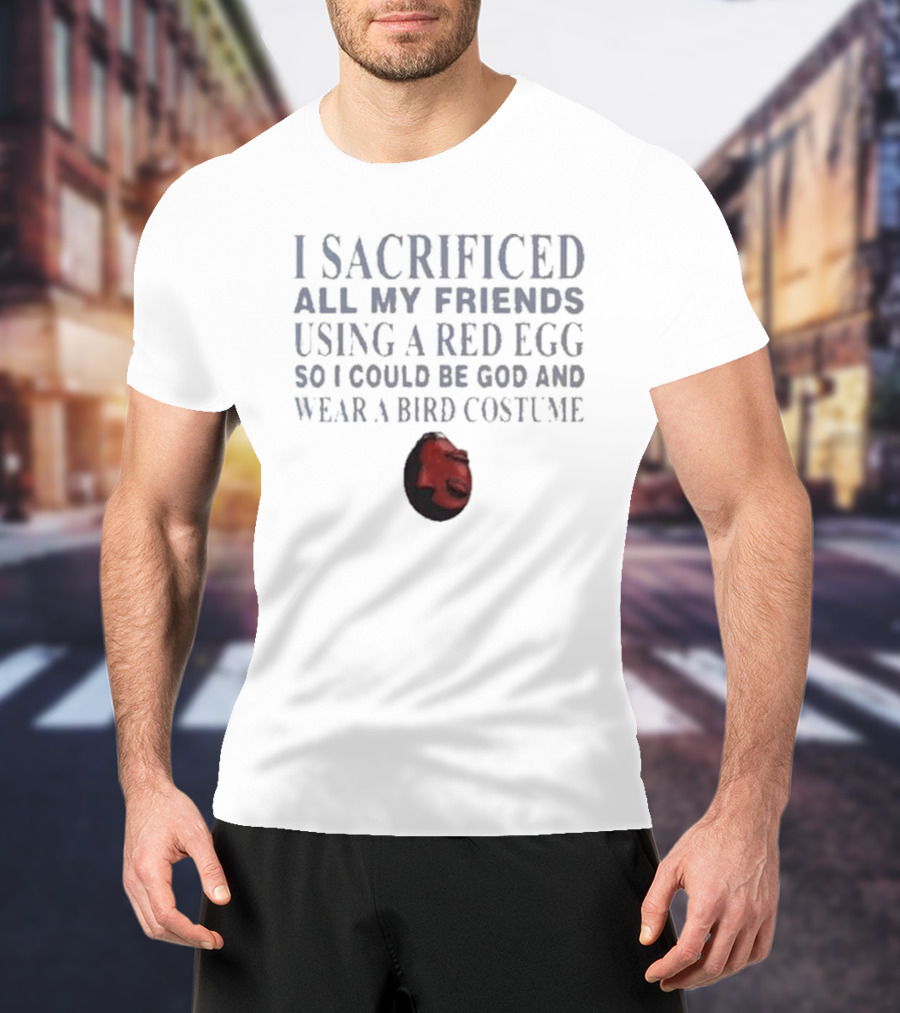 I Sacrificed All My Friends Using A Red Egg So I Could Be God And Wear A Bird Costume T-Shirt