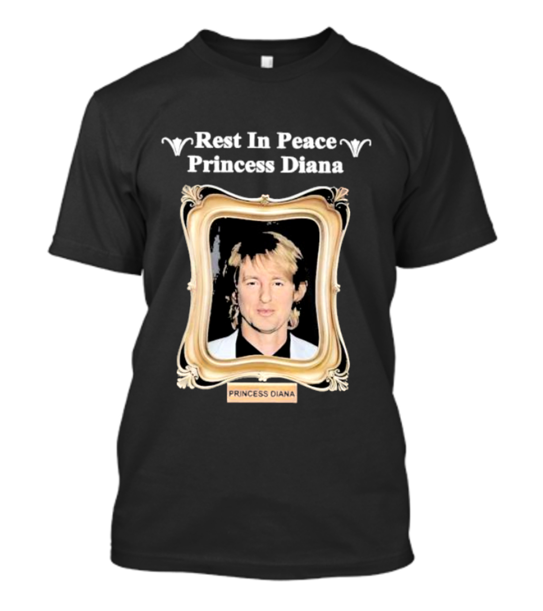 Rest In Peace Princess Diana Portrait Frame T-Shirt