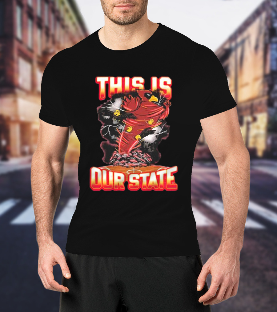 THIS IS OUR STATE Arizona Cardinals Official NFL Team Gear T-Shirt