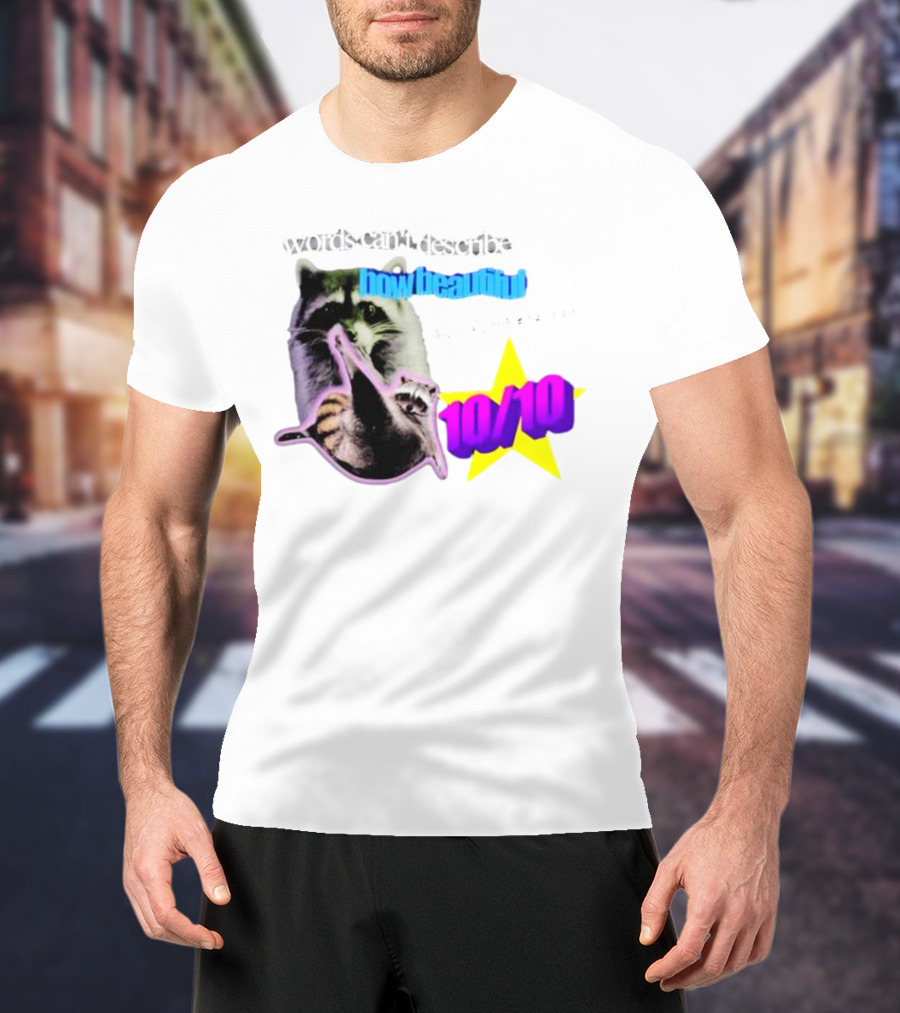Words Can't Describe How Beautiful I Am But Numbers Can 10/10 Raccoon Star T-Shirt