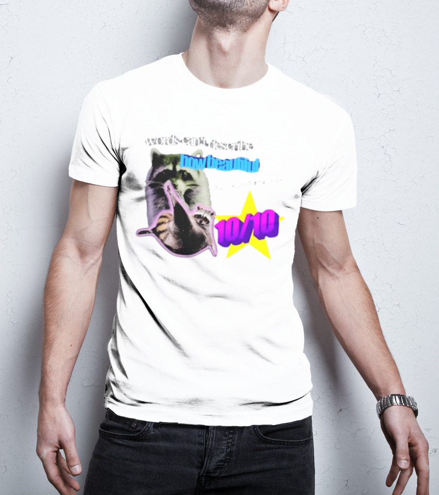 Words Can't Describe How Beautiful I Am But Numbers Can 10/10 Raccoon Star T-Shirt
