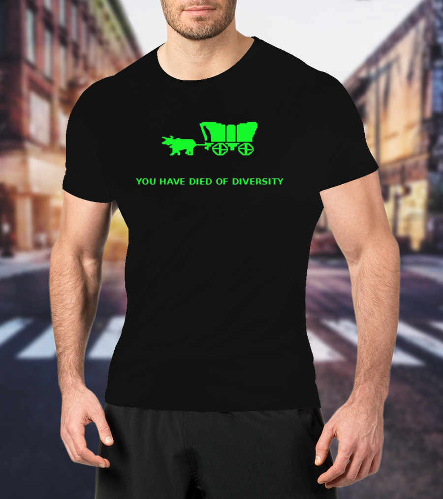 You Have Died Of Diversity Oregon Trail Pixel T-Shirt