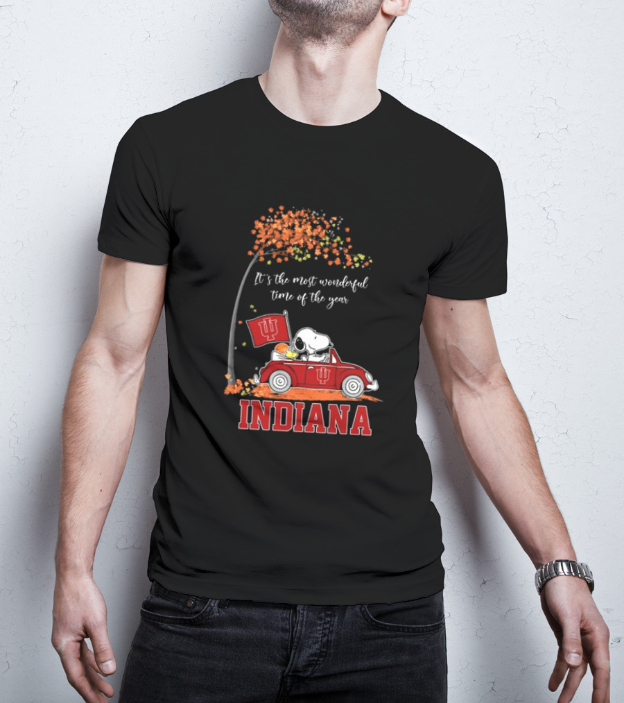 Indiana Hoosiers Snoopy And Woodstock Driving Car Fall It’s The Most Wonderful Time Of The Year T-Shirt
