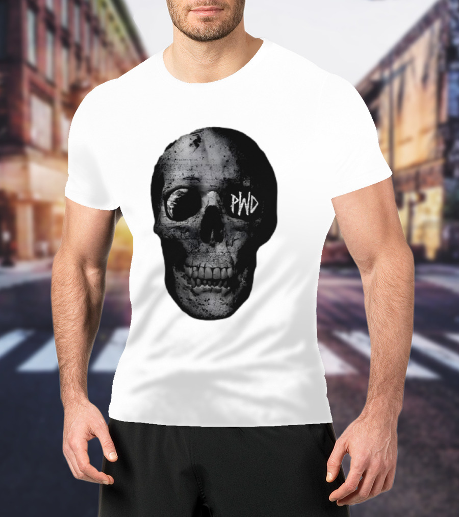 PWD Parkway Drive Dark Days 2012 Atlas Skull Image T-Shirt