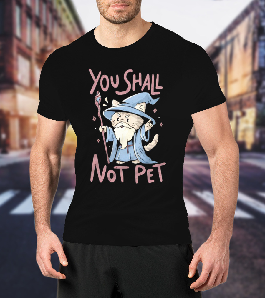 Wizard Cat You Shall Not Pet Gandalf Parody Fantasy Humor T-Shirt