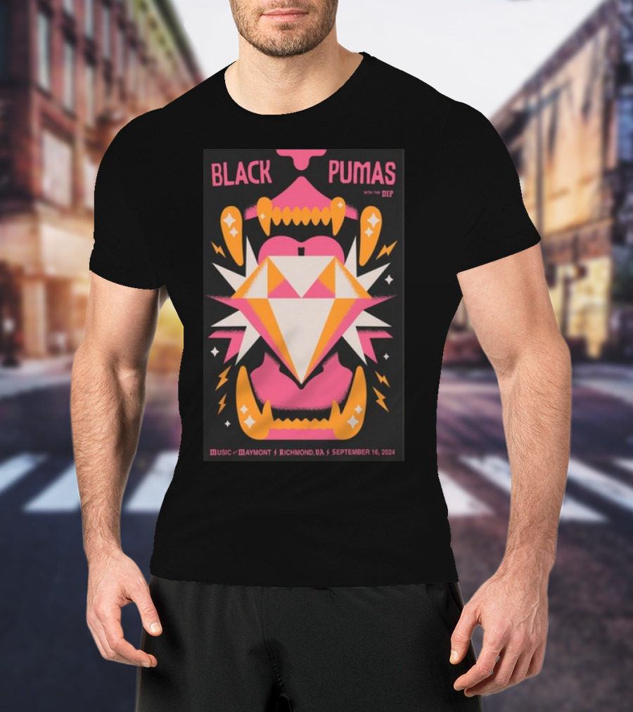 Black Pumas With The Dip Music At Maymont Richmond VA September 16 T-Shirt