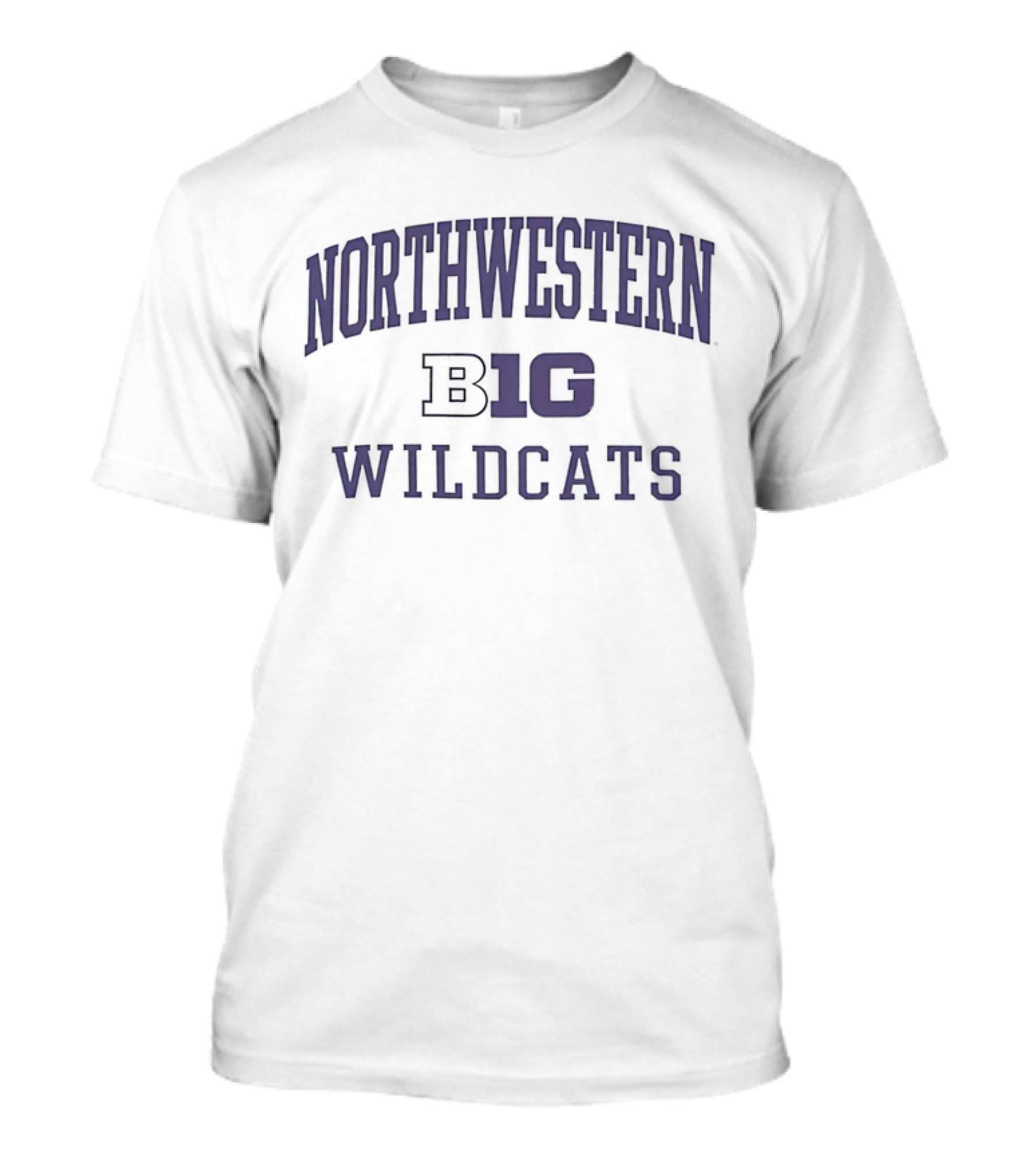 Northwestern Wildcats Big Ten T-Shirt