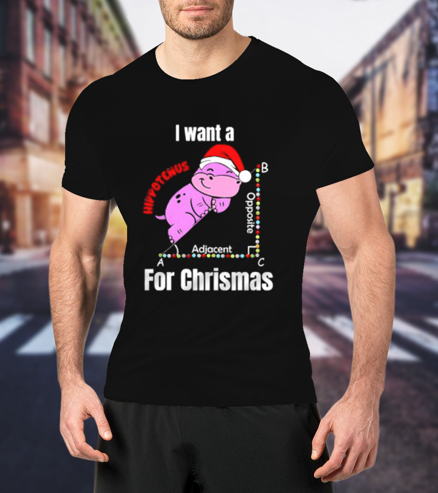 I Want A Hippotenuse ABC Adjacent Opposite For Christmas Cute Hippo T-Shirt