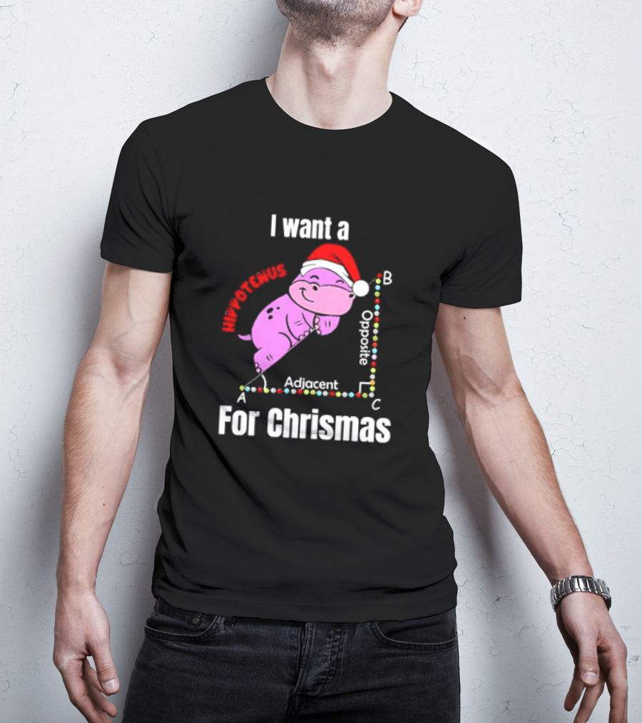 I Want A Hippotenuse ABC Adjacent Opposite For Christmas Cute Hippo T-Shirt
