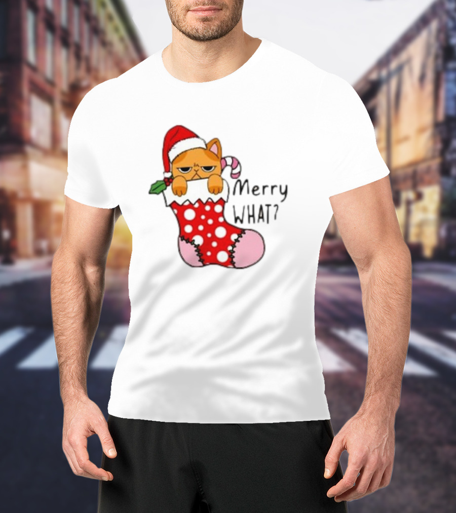 Merry What Cat In Santa Hat Christmas Stocking T-Shirt