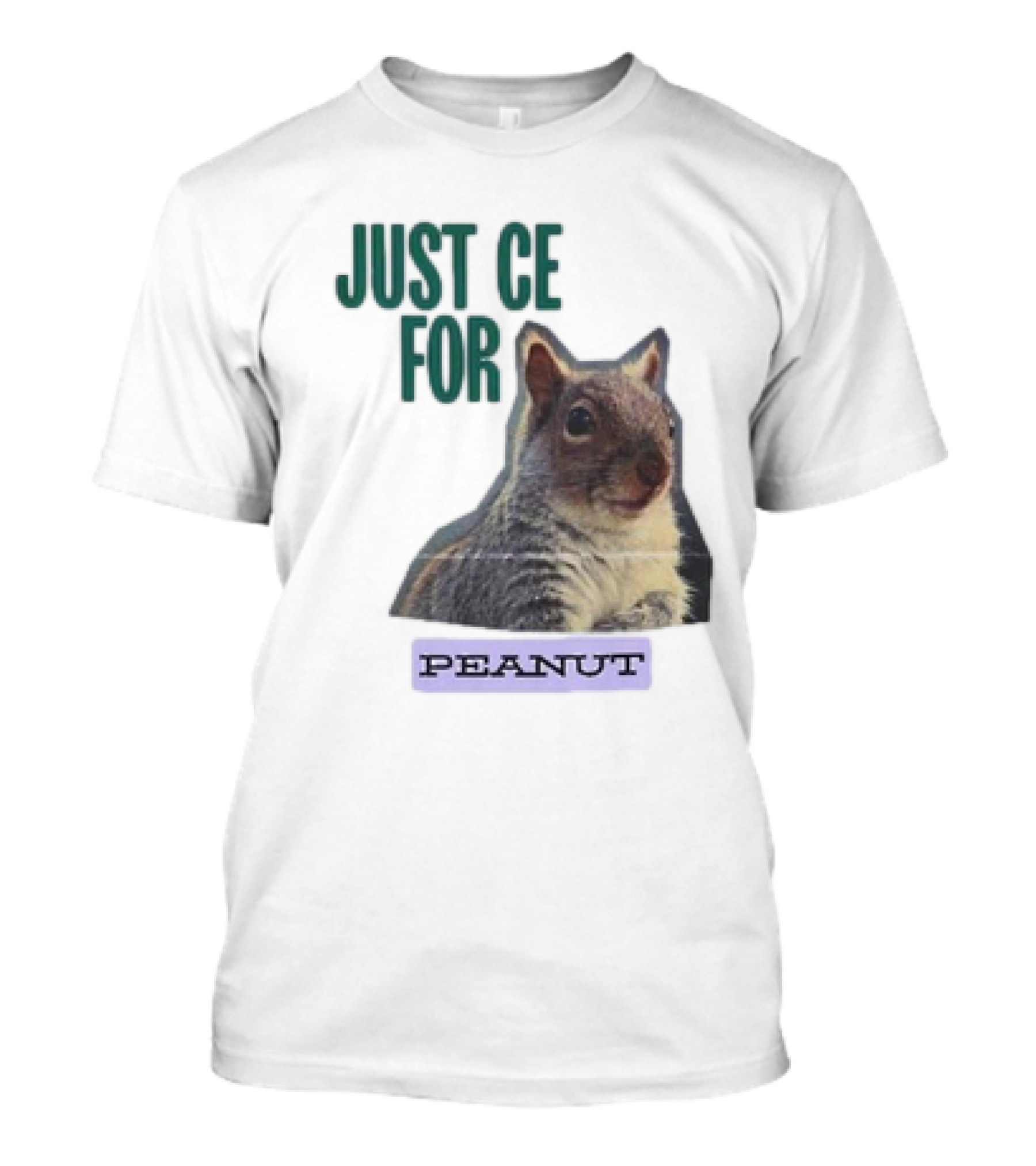 Justice For Peanut The Squirrel T-Shirt