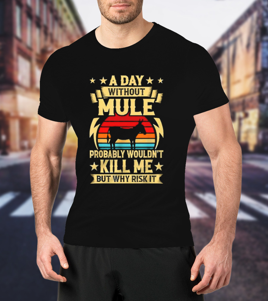A Day Without Mule Probably Wouldn't Kill Me But Why Risk It Vintage Sunset T-Shirt