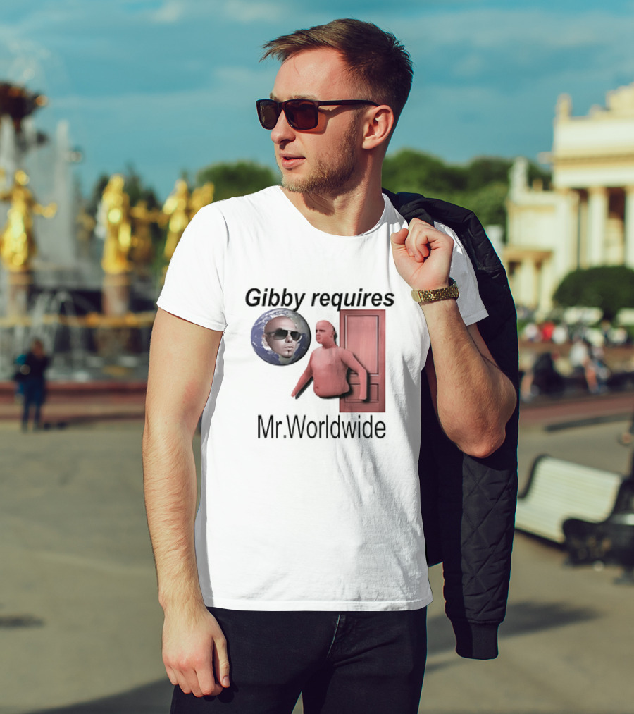 Gibby Requires Mr. Worldwide Door Meme T-Shirt