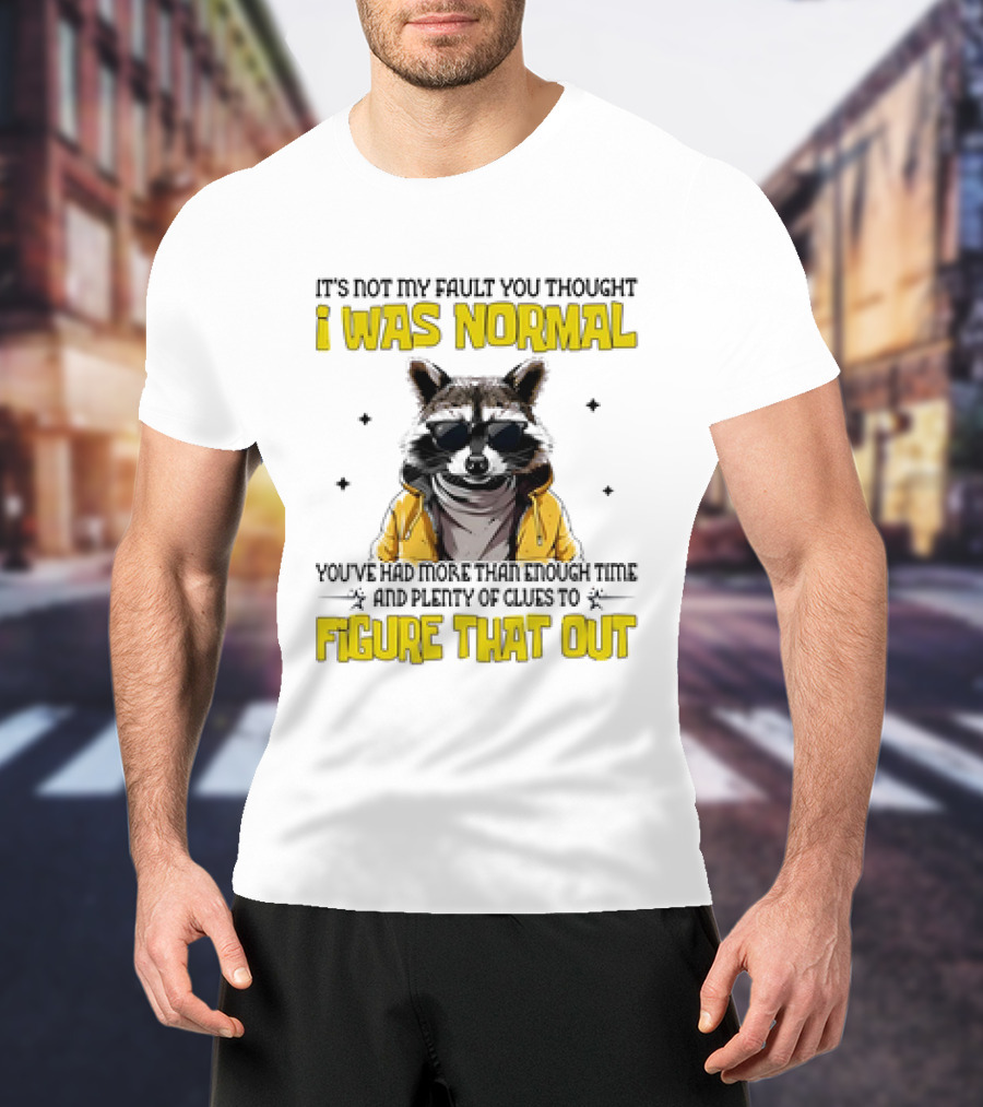 Raccoon It's Not My Fault You Thought I Was Normal You've Had More Than Enough Time And Plenty Of Clues To Figure That Out T-Shirt