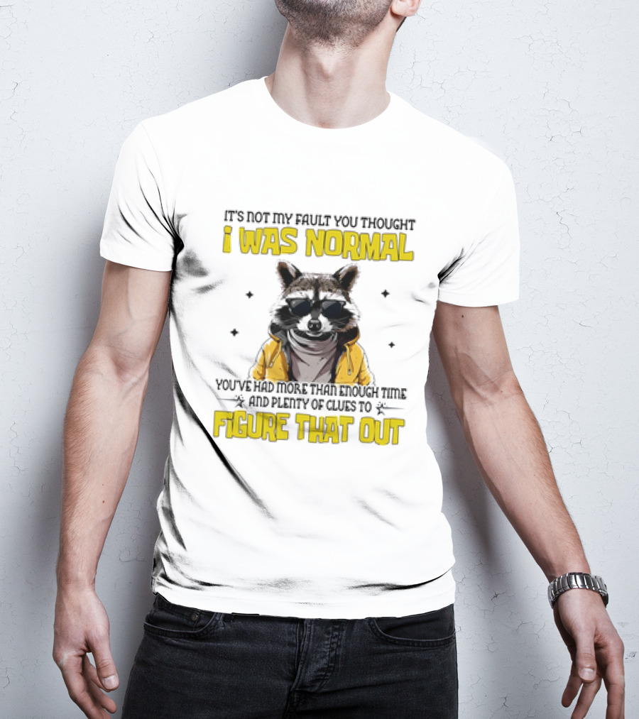 Raccoon It's Not My Fault You Thought I Was Normal You've Had More Than Enough Time And Plenty Of Clues To Figure That Out T-Shirt