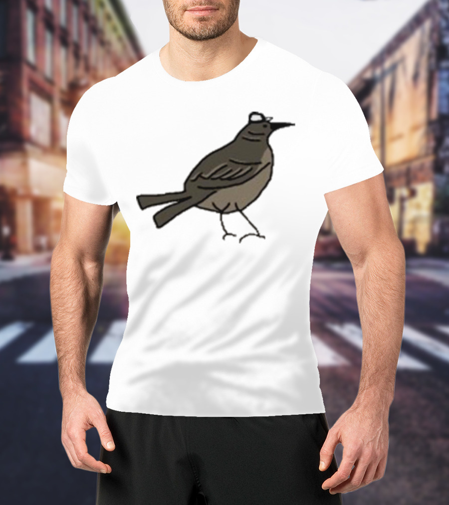 Dallas Stars Mr. Mockingbird Victory Green Bird T-Shirt