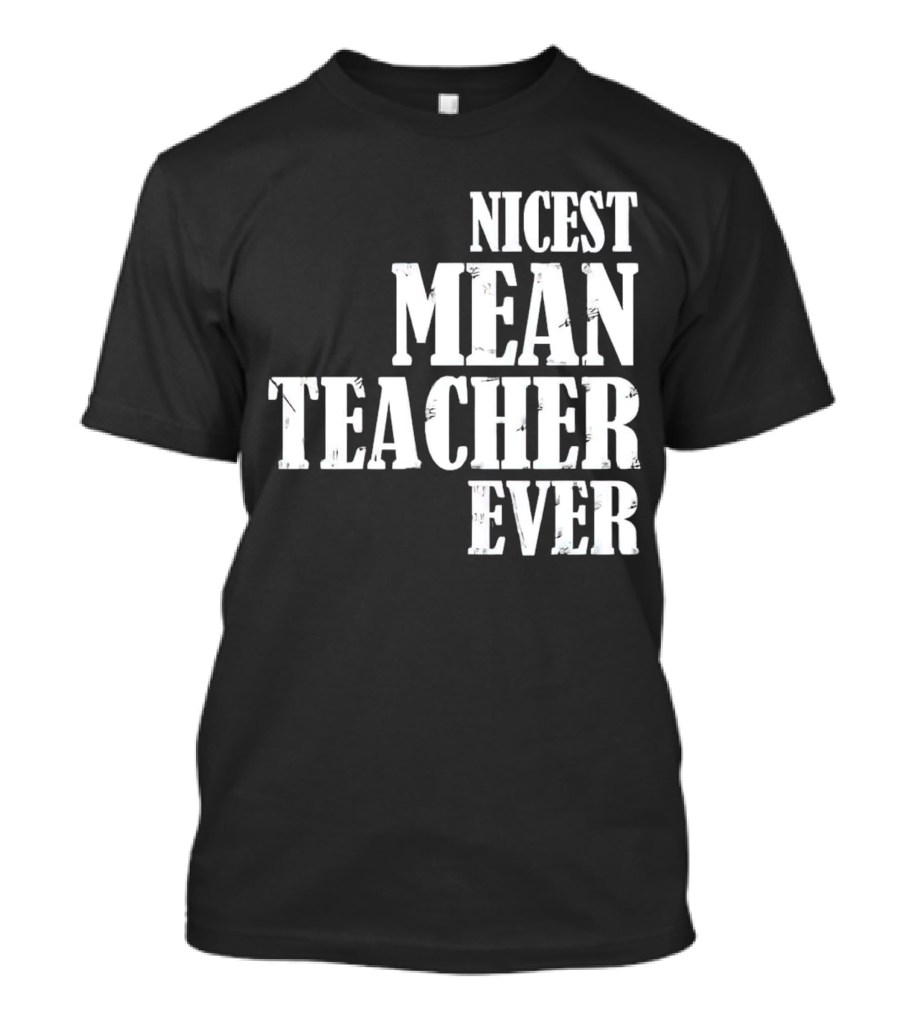 Nicest Mean Teacher Ever Classic Text T-Shirt