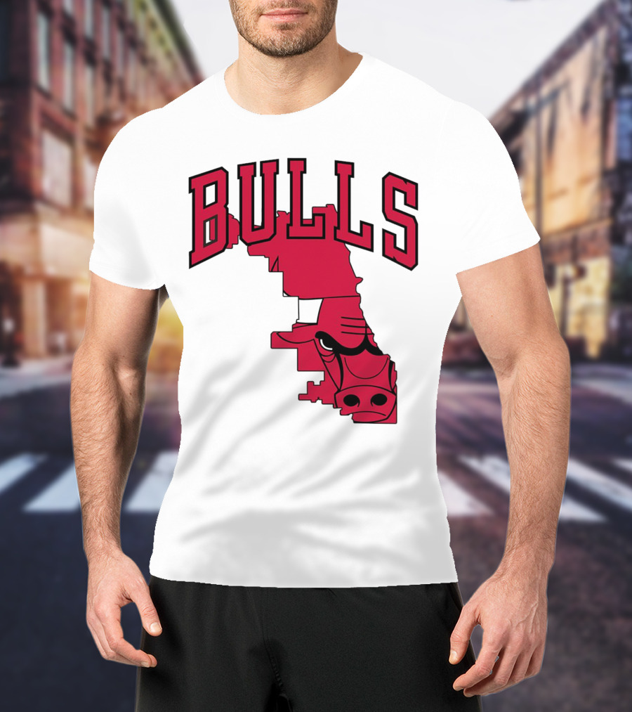 Bulls Chicago Map T-Shirt