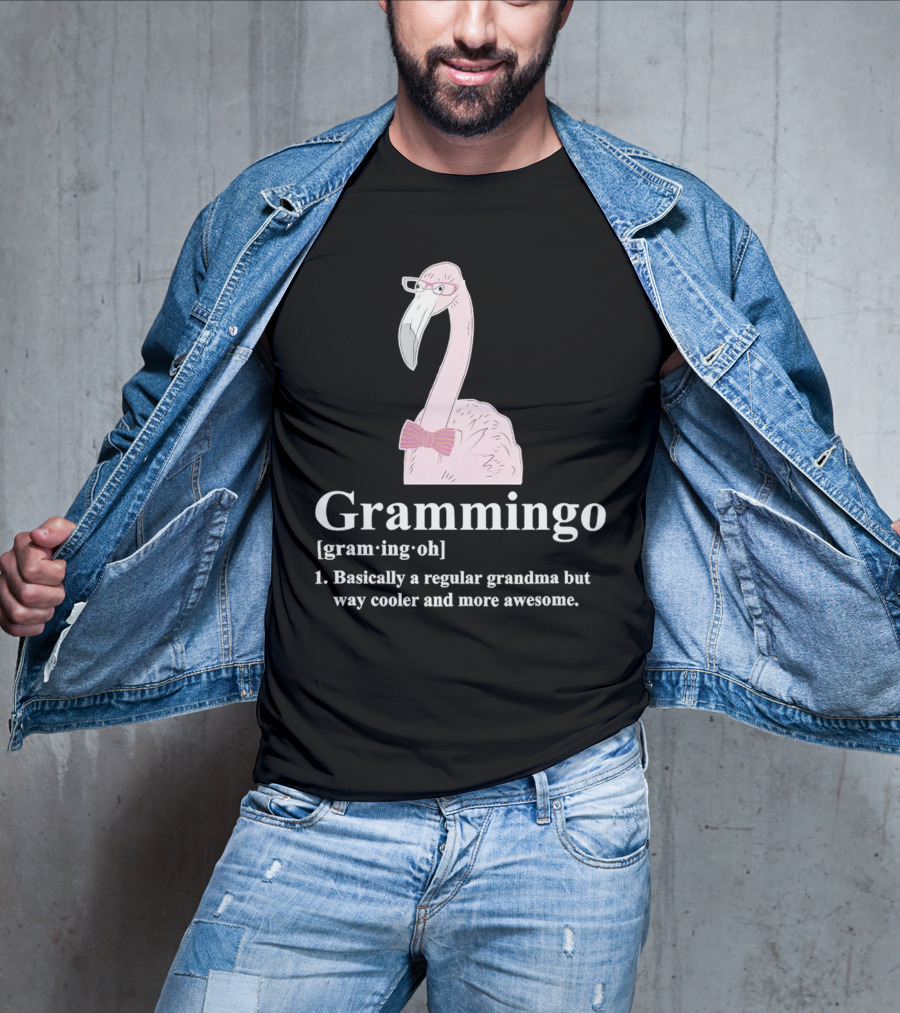 Grammingo Flamingo Grandma Way Cooler Awesome Definition T-Shirt