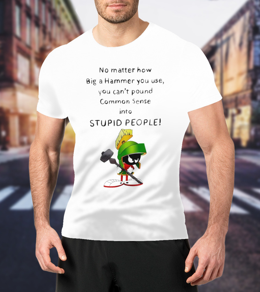No Matter How Big A Hammer You Use, You Can't Pound Common Sense Into Stupid People T-Shirt