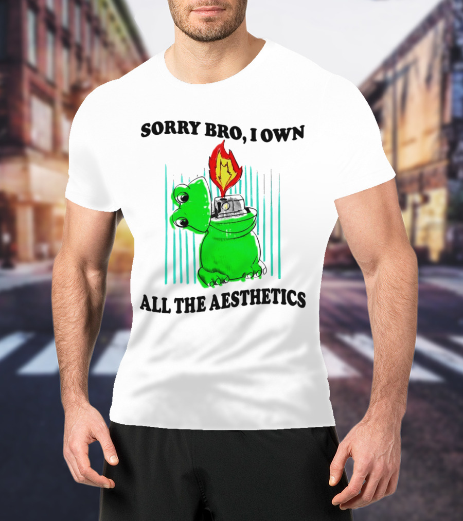 Sorry Bro I Own All The Aesthetics Melting Frog Lighter Flame T-Shirt