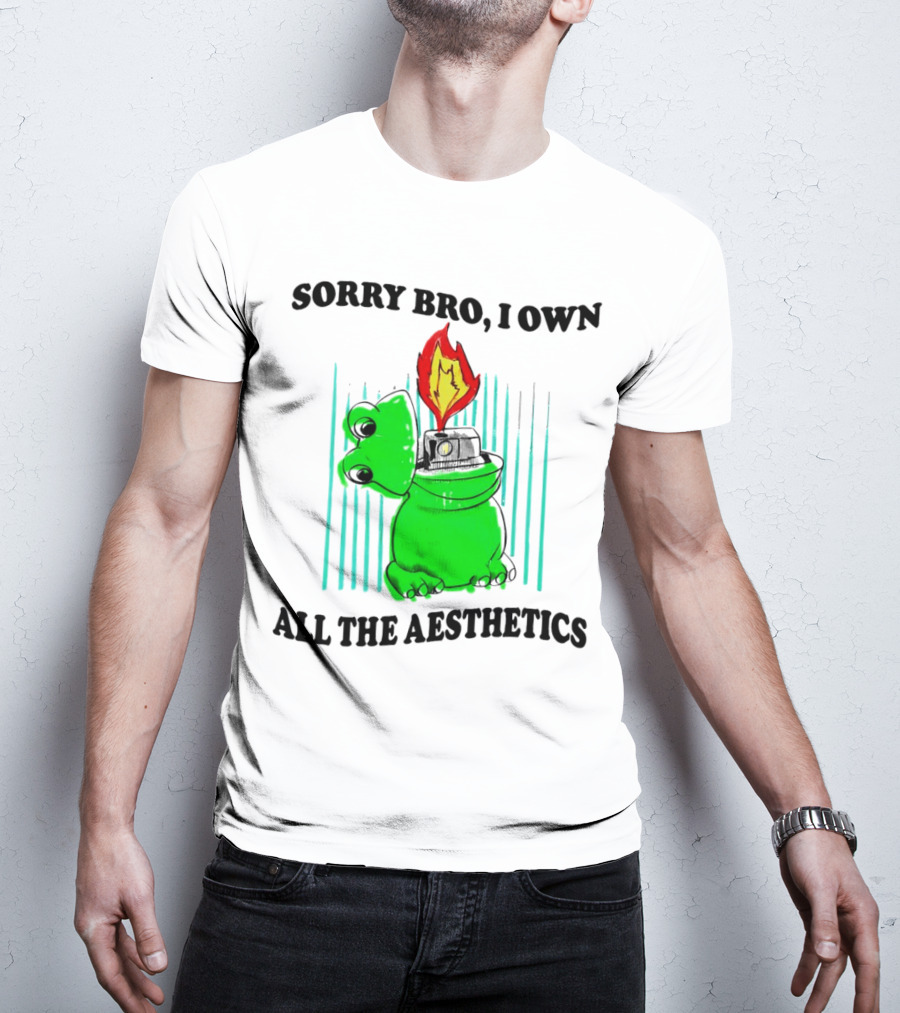 Sorry Bro I Own All The Aesthetics Melting Frog Lighter Flame T-Shirt
