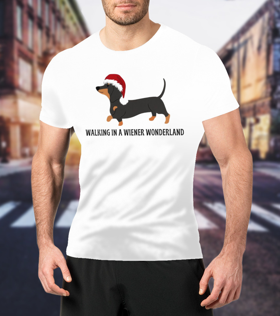 Christmas Walking In A Wiener Wonderland Dachshund With Santa Hat T-Shirt