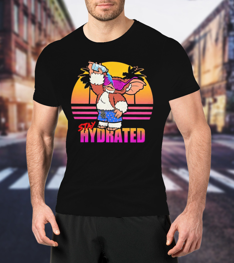 Stay Hydrated Gizmo Summer Beach Vibes With Sunset And Palm Trees T-Shirt