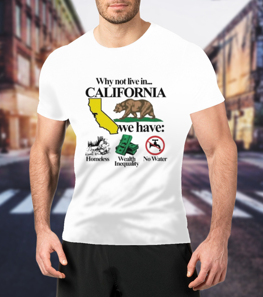 Why Not Live In California We Have Homeless Bear Wealth Inequality No Water T-Shirt