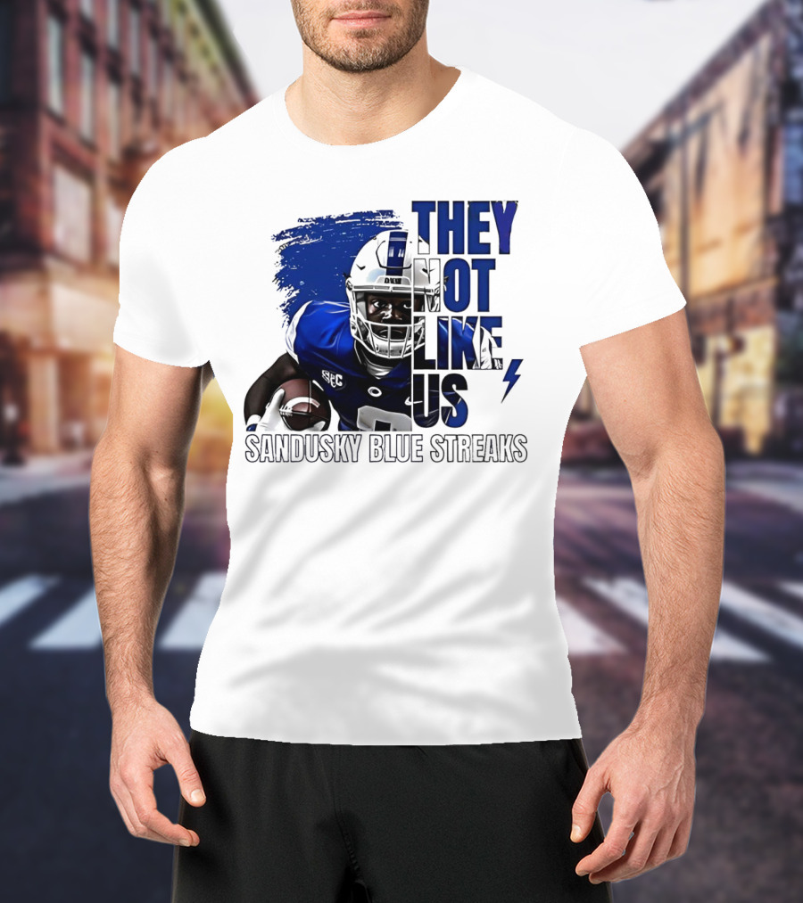 Sandusky Blue Streaks They Not Like Us Football Player Grunge T-Shirt