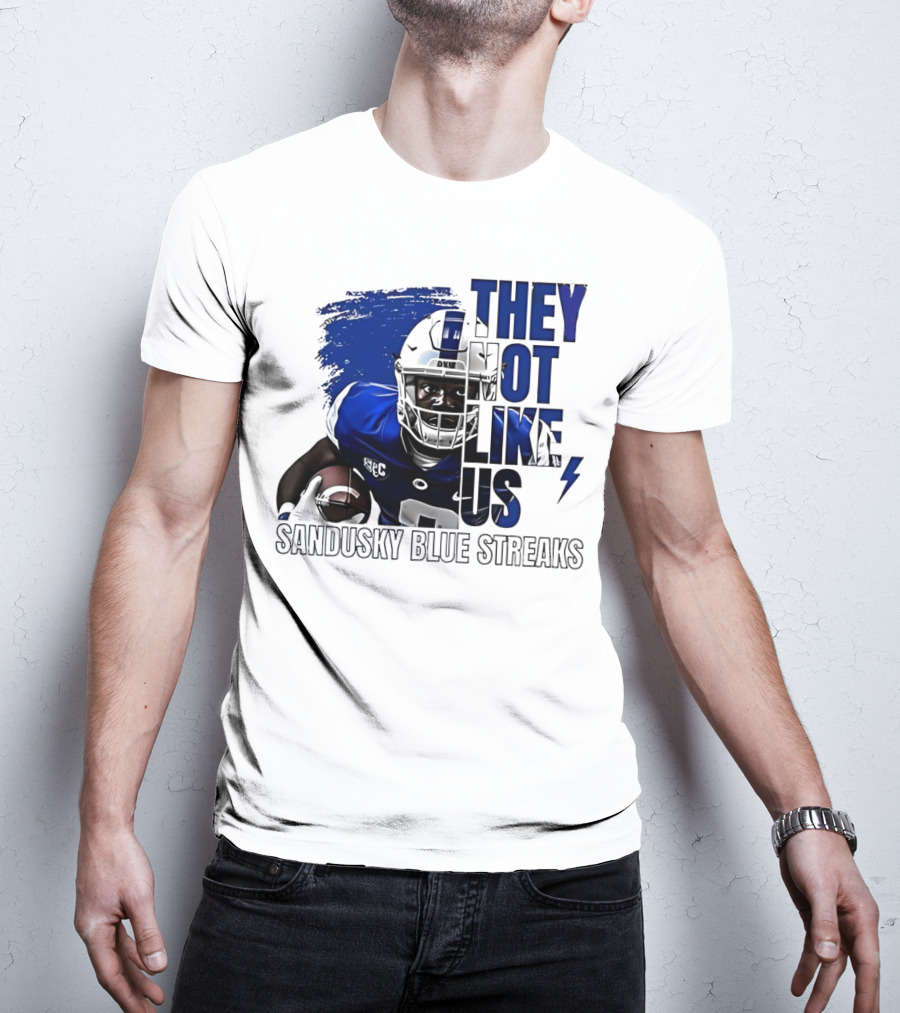 Sandusky Blue Streaks They Not Like Us Football Player Grunge T-Shirt
