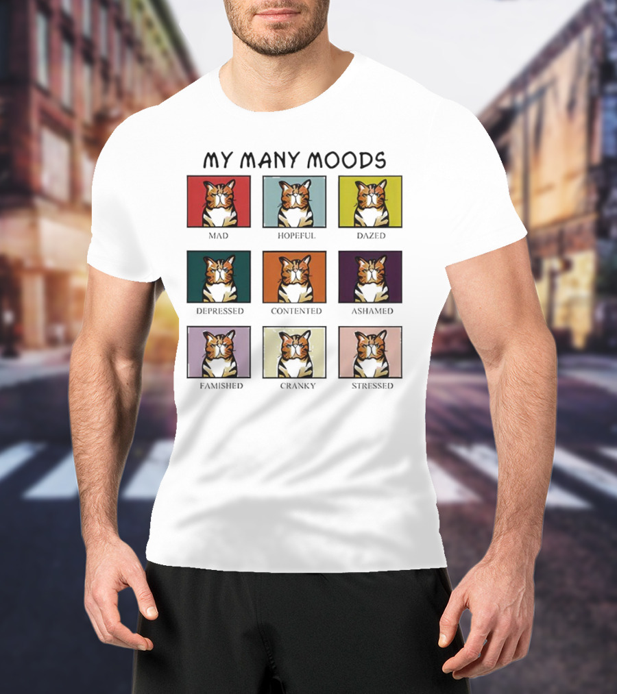 My Many Moods Mad Hopeful Dazed Depressed Contented Ashamed Famished Cranky Stressed T-Shirt