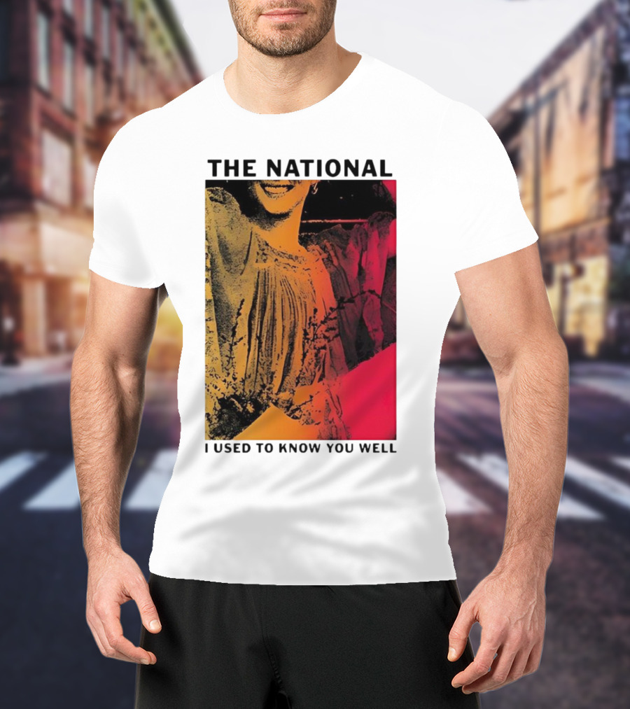The National I Used To Know You Well Vibrant Artistic T-Shirt