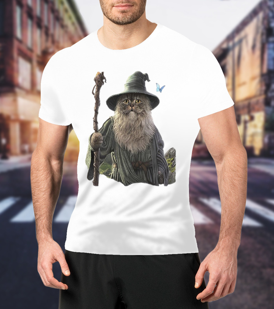 Cat The Mountain Wizard Catdalf Cat With Staff And Hat T-Shirt