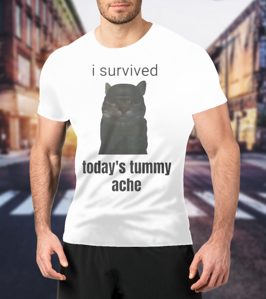 I Survived Today's Tummy Ache Cat Image T-Shirt