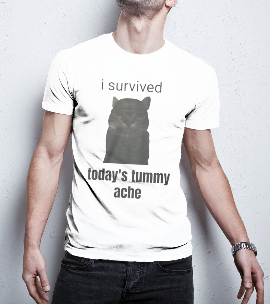I Survived Today's Tummy Ache Cat Image T-Shirt