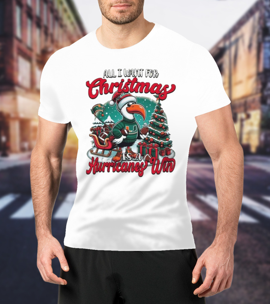 All I Want For Christmas Is A Hurricanes Win Santa Birdfest T-Shirt