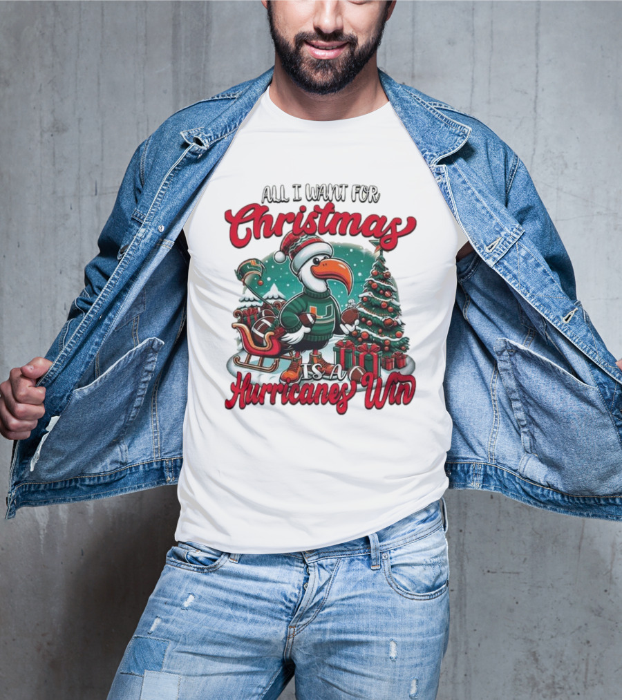 All I Want For Christmas Is A Hurricanes Win Santa Birdfest T-Shirt